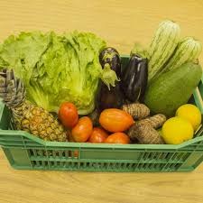 Cesta de Vegetais Orgânicos Frescos - Imagem 2