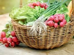 Cesta de Vegetais Orgânicos Frescos - Imagem 3